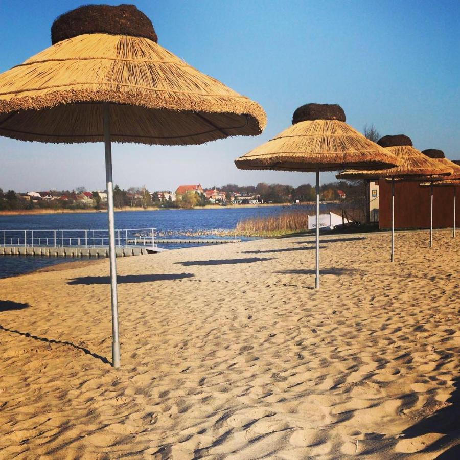 Camping Oaza Blonie Kornik Domki Standard Plus - 3 Pokoje المظهر الخارجي الصورة